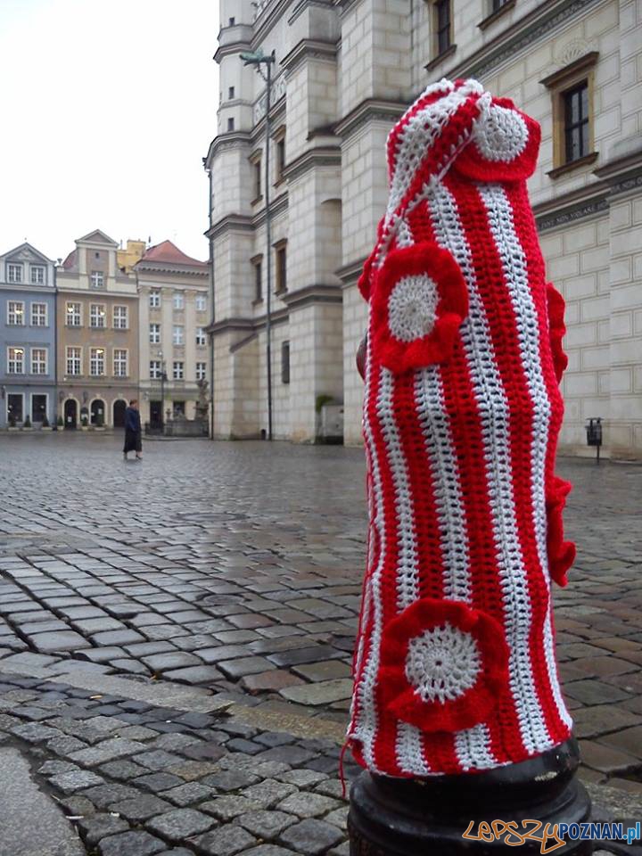 Przypnij kokardę 4 Foto: Aquanet Przypnij kokardę 4 Foto: Aquanet