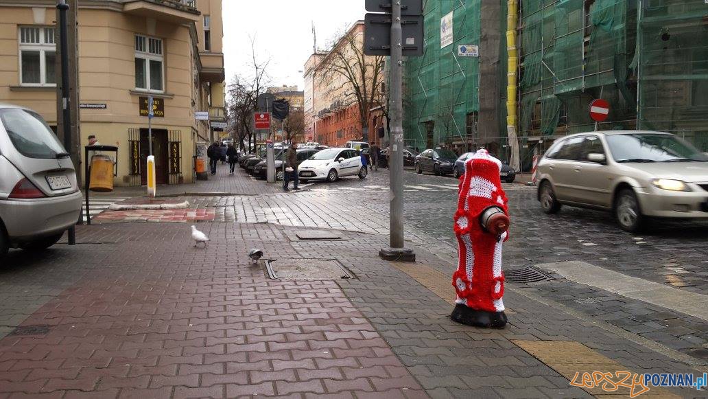 Przypnij kokardę 8 Foto: Aquanet Przypnij kokardę 8 Foto: Aquanet