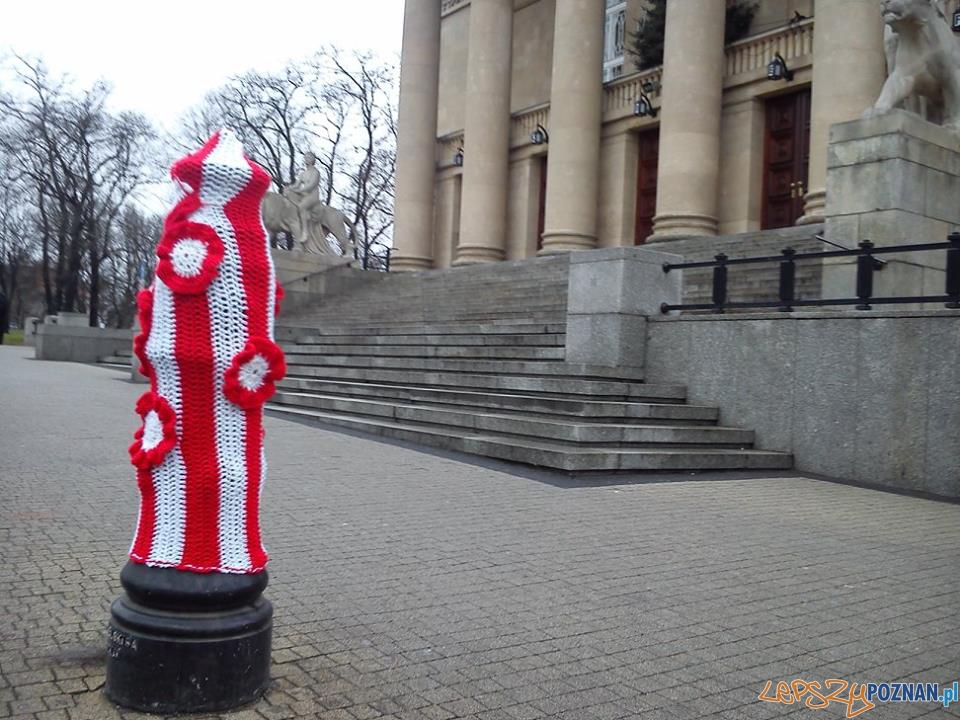 Przypnij kokardę 5 Foto: Aquanet Przypnij kokardę 5 Foto: Aquanet