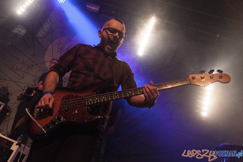 Koncert zepołu Happysad Foto: Pawel Rychter Koncert zepołu Happysad Foto: Pawel Rychter