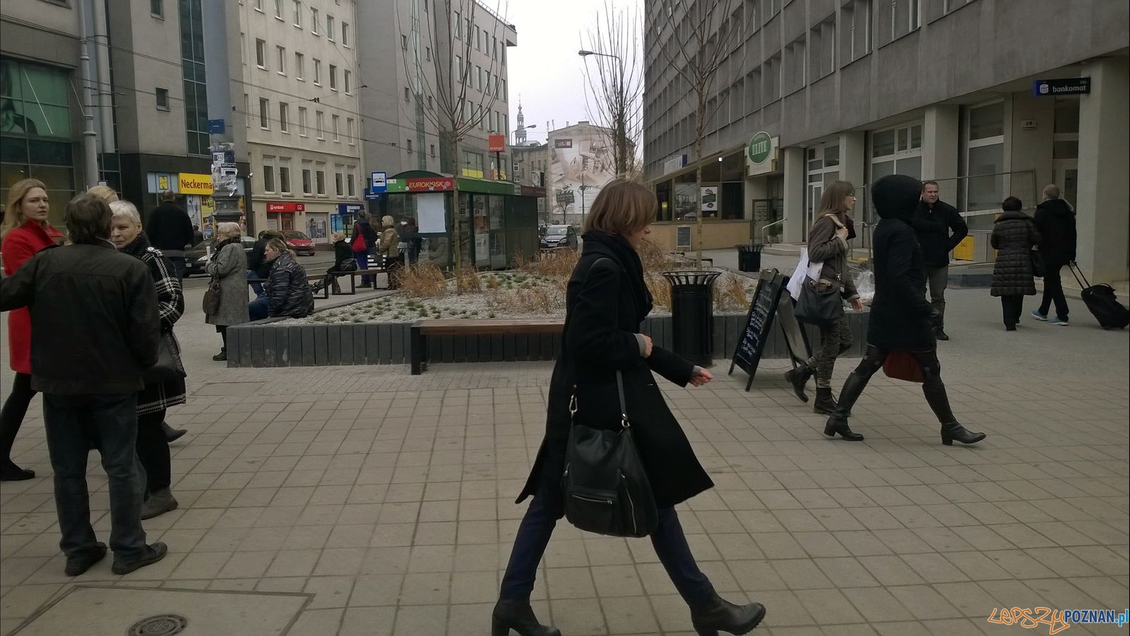 Strzelecka skwer  Foto: TD