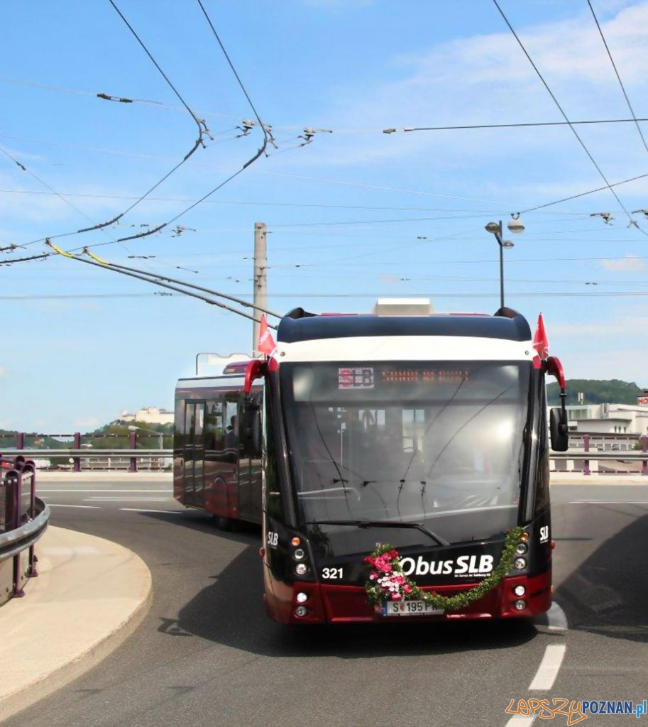 Solaris Tollino Metrostyle Foto: solaris Solaris Tollino Metrostyle Foto: solaris