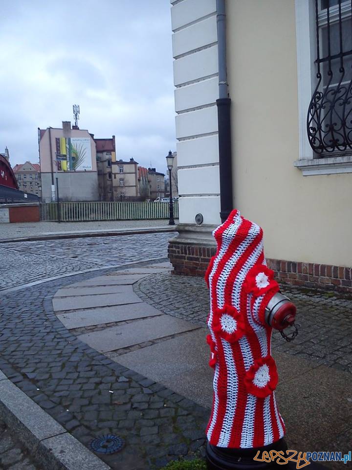 Hydranty w kokardach Foto: Aquanet Hydranty w kokardach Foto: Aquanet