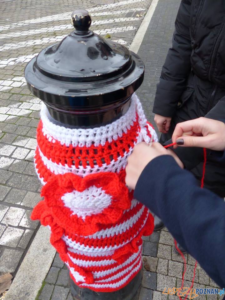 Przypnij kokardę 2 Foto: Aquanet Przypnij kokardę 2 Foto: Aquanet