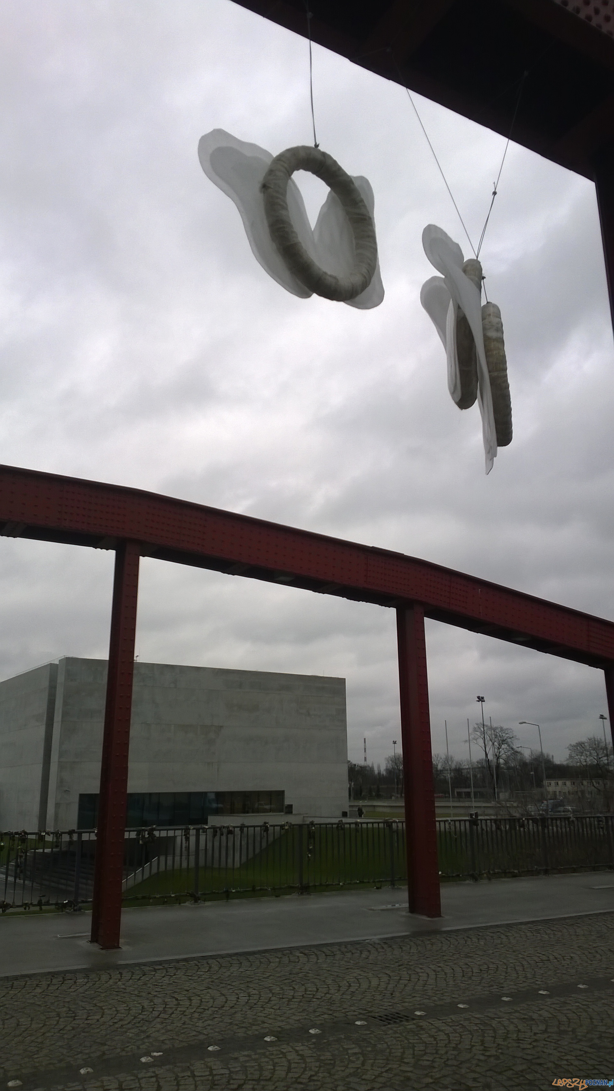 Śródeckie Anioły (8) Foto: TD Śródeckie Anioły (8) Foto: TD