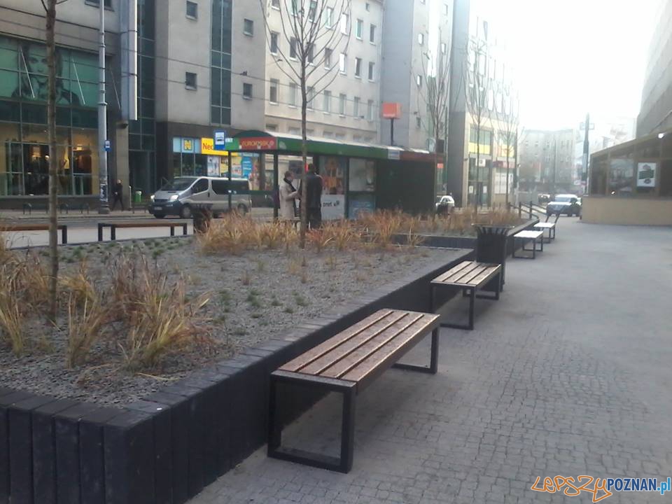 Skwer Strzelecka Foto: Paweł Sztando Skwer Strzelecka Foto: Paweł Sztando