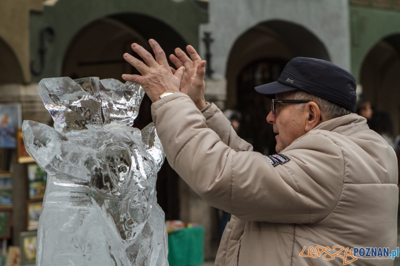 Stihl Poznan Ice Festival - Speed Ice Carving - 13.12.2014 r. Foto: LepszyPOZNAN.pl / Paweł Rychter Stihl Poznan Ice Festival - Speed Ice Carving - 13.12.2014 r. Foto: LepszyPOZNAN.pl / Paweł Rychter