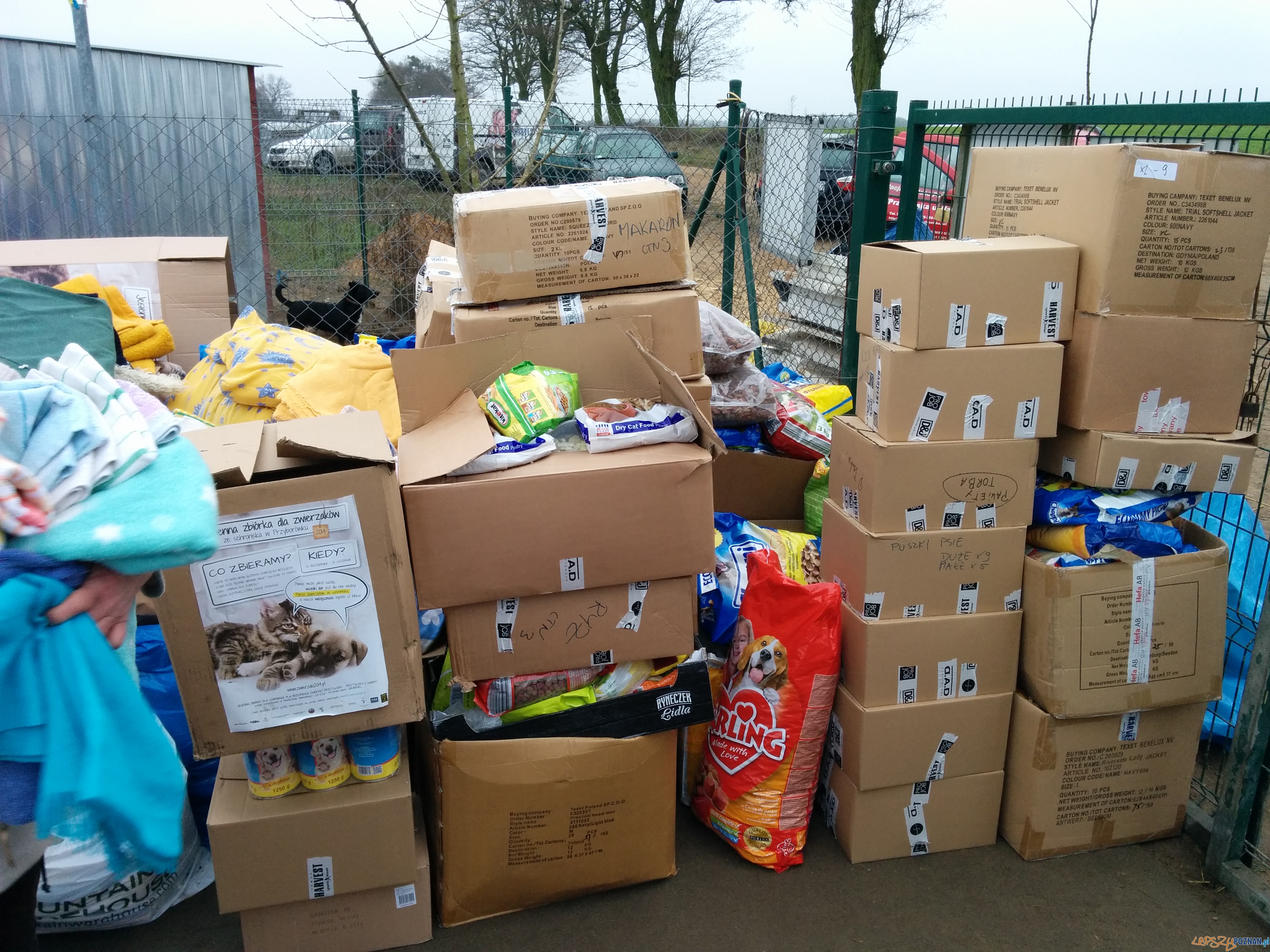 Część darów z tegorocznej zbiórki Foto: Wojciech Radomski Część darów z tegorocznej zbiórki Foto: Wojciech Radomski