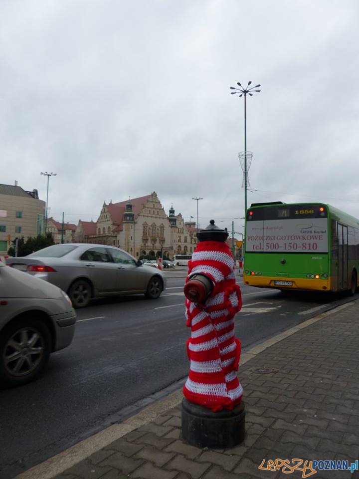 Przypnij kokardę 6 Foto: Aquanet Przypnij kokardę 6 Foto: Aquanet