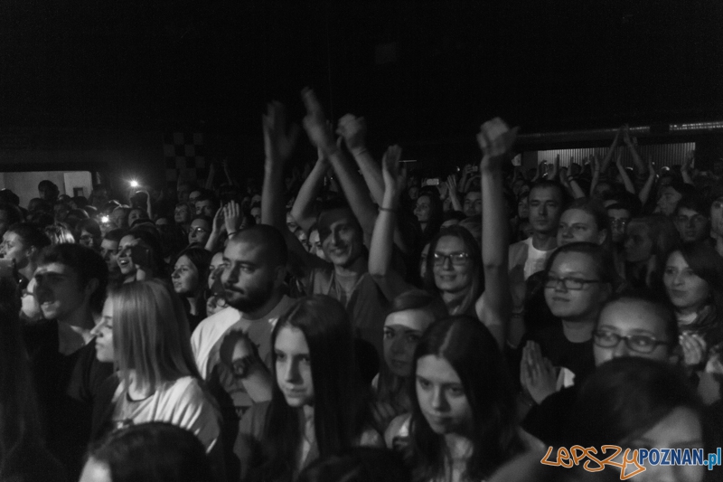 Koncert zepołu Happysad Foto: Pawel Rychter Koncert zepołu Happysad Foto: Pawel Rychter