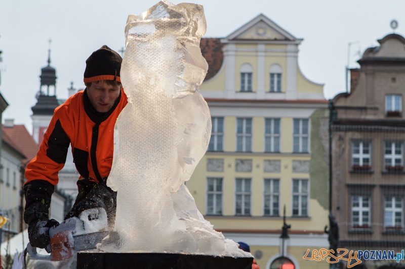 Stihl Poznan Ice Festival - Speed Ice Carving - 13.12.2014 r. Foto: LepszyPOZNAN.pl / Paweł Rychter Stihl Poznan Ice Festival - Speed Ice Carving - 13.12.2014 r. Foto: LepszyPOZNAN.pl / Paweł Rychter