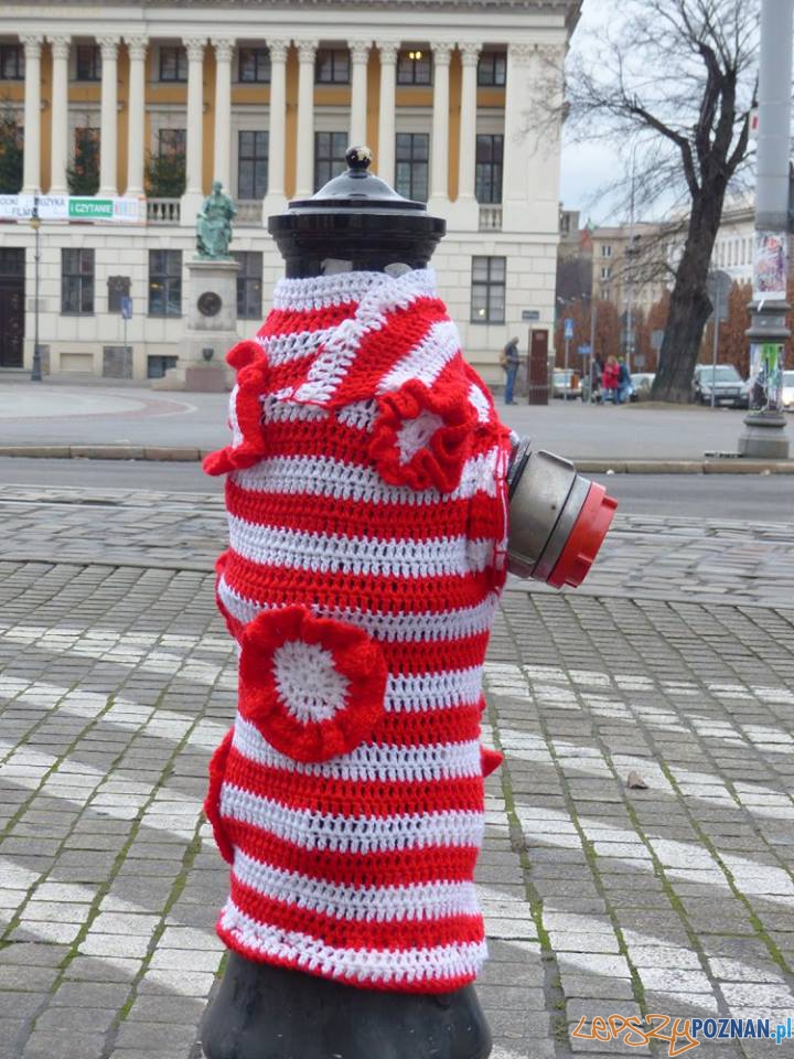 Przypnij kokardę 3 Foto: Aquanet Przypnij kokardę 3 Foto: Aquanet