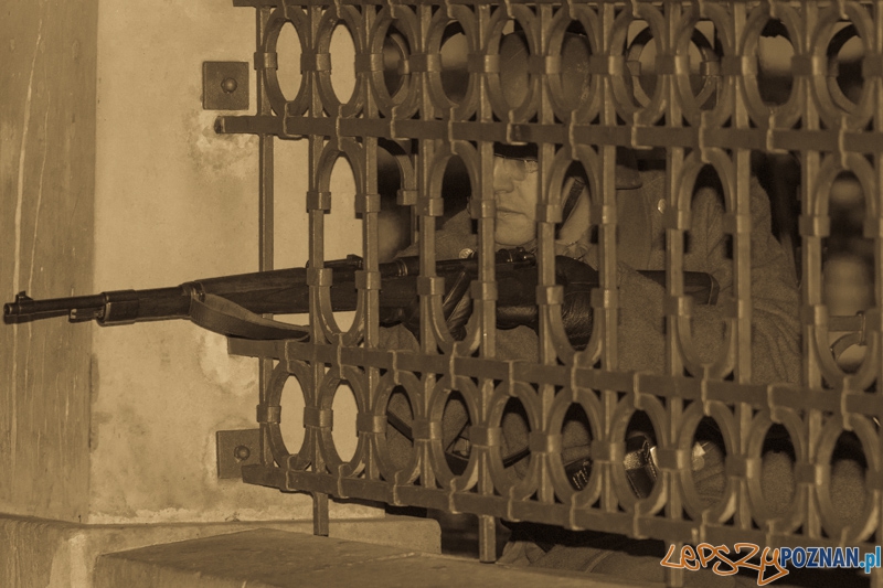 Cześć i chwała Bohaterom Foto: lepszyPOZNAN.pl / Piotr Rychter Cześć i chwała Bohaterom Foto: lepszyPOZNAN.pl / Piotr Rychter