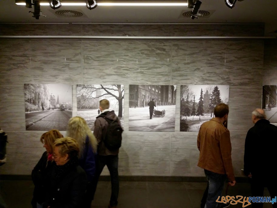 Wystawa w Zamku Foto: lepszyPOZNAN.pl Wystawa w Zamku Foto: lepszyPOZNAN.pl