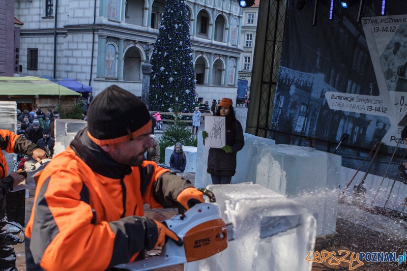 Stihl Poznan Ice Festival - Speed Ice Carving - 13.12.2014 r. Foto: LepszyPOZNAN.pl / Paweł Rychter Stihl Poznan Ice Festival - Speed Ice Carving - 13.12.2014 r. Foto: LepszyPOZNAN.pl / Paweł Rychter