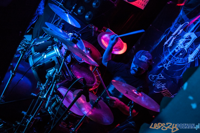 KAT & Roman Kostrzewski (30.11.2014) Blue Note Foto: © LepszyPOZNAN.pl / Karolina Kiraga KAT & Roman Kostrzewski (30.11.2014) Blue Note Foto: © LepszyPOZNAN.pl / Karolina Kiraga