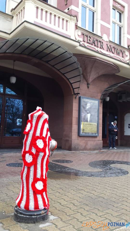 Przypnij kokardę 1 Foto: Aquanet Przypnij kokardę 1 Foto: Aquanet