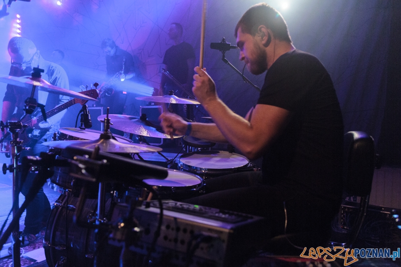 Koncert zepołu Happysad Foto: Pawel Rychter Koncert zepołu Happysad Foto: Pawel Rychter