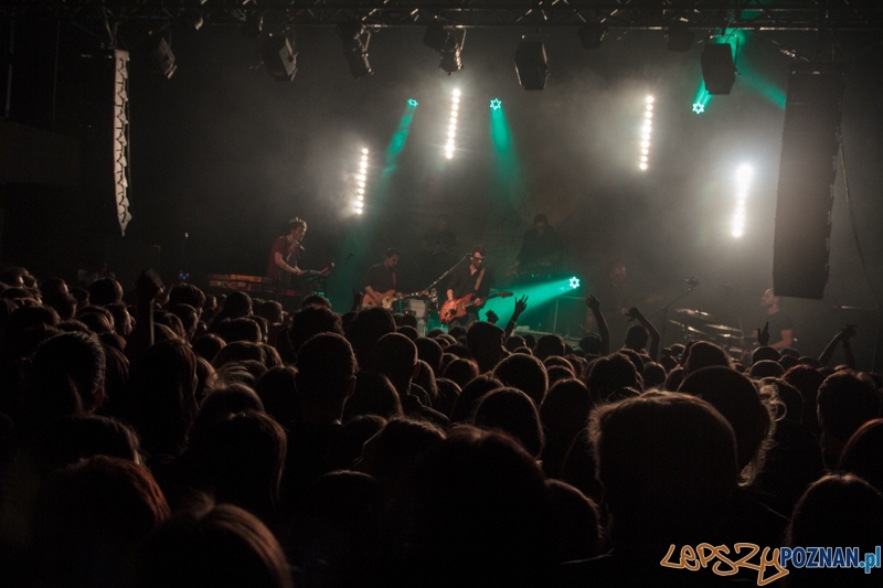 Koncert zepołu Happysad Foto: Pawel Rychter Koncert zepołu Happysad Foto: Pawel Rychter