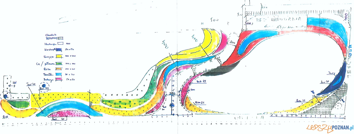 Projekt roślinności na skwerze przy Opolskiej  Foto: RO Świerczewo