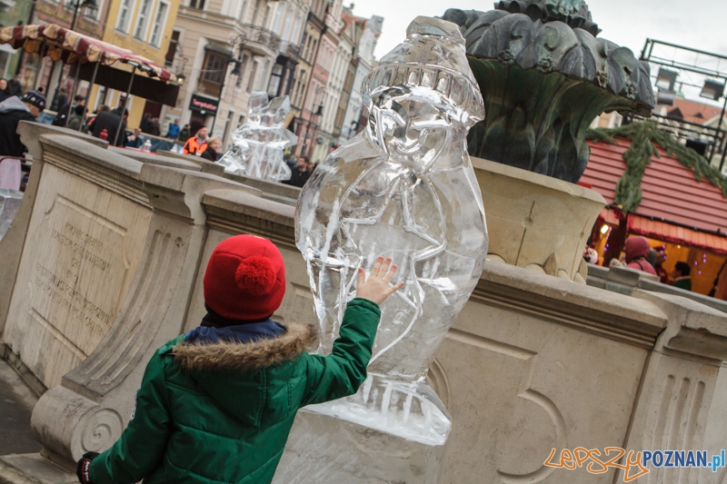 Stihl Poznan Ice Festival - Speed Ice Carving - 13.12.2014 r. Foto: LepszyPOZNAN.pl / Paweł Rychter Stihl Poznan Ice Festival - Speed Ice Carving - 13.12.2014 r. Foto: LepszyPOZNAN.pl / Paweł Rychter