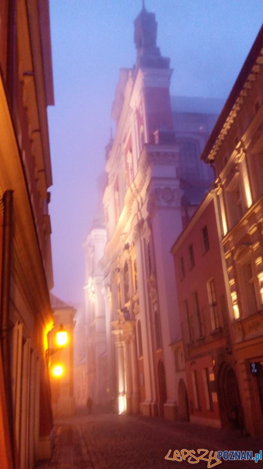 Poranna mgła Foto: lepszyPOZNAN / Piotr Rychter Poranna mgła Foto: lepszyPOZNAN / Piotr Rychter