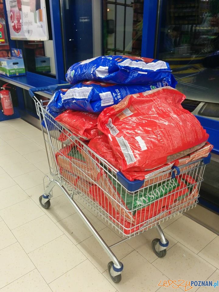 Karma kupiona dla zwierząt za zebrane pieniądze Foto: Wojciech Radomski Karma kupiona dla zwierząt za zebrane pieniądze Foto: Wojciech Radomski