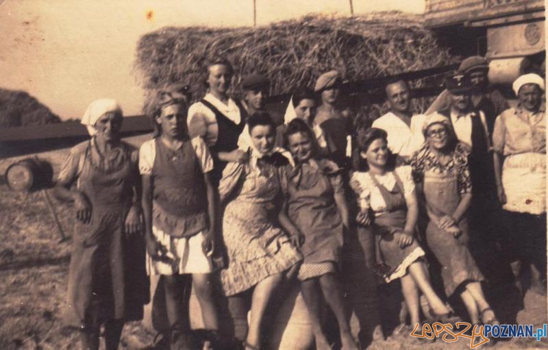 Sierpień 1943 r., u Olgi Volz. Archiwum rodzinne Łucji Ostrowskiej Foto: Sierpień 1943 r., u Olgi Volz. Archiwum rodzinne Łucji Ostrowskiej Foto: