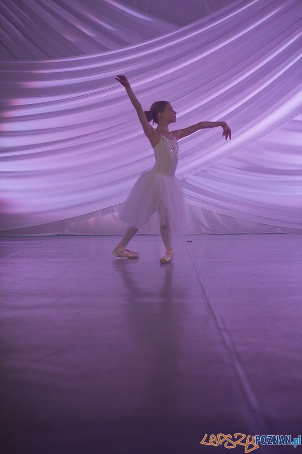 Zimowe Impresje (3) Foto: Łukasz Babst Zimowe Impresje (3) Foto: Łukasz Babst