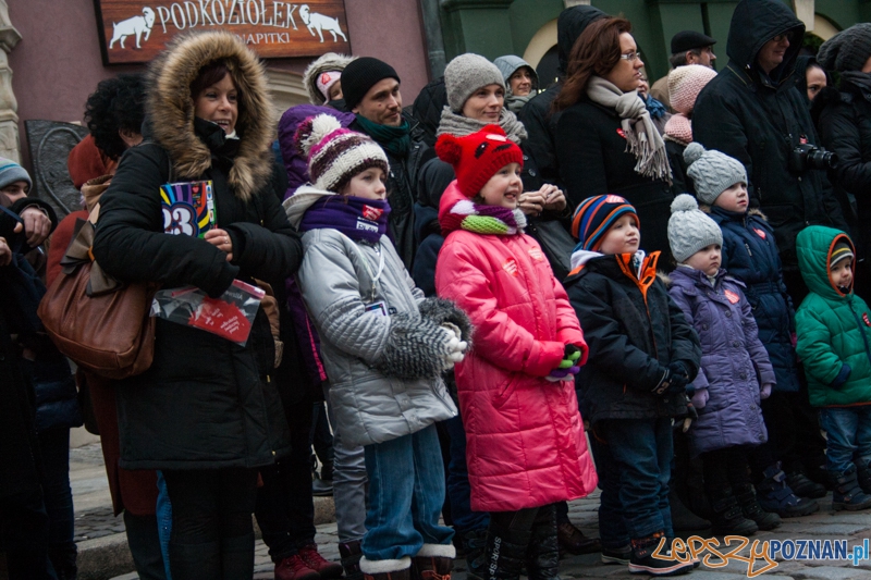 Golden retrievery podczas XXIII finału WOŚP Foto: © LepszyPOZNAN.pl / Karolina Kiraga Golden retrievery podczas XXIII finału WOŚP Foto: © LepszyPOZNAN.pl / Karolina Kiraga