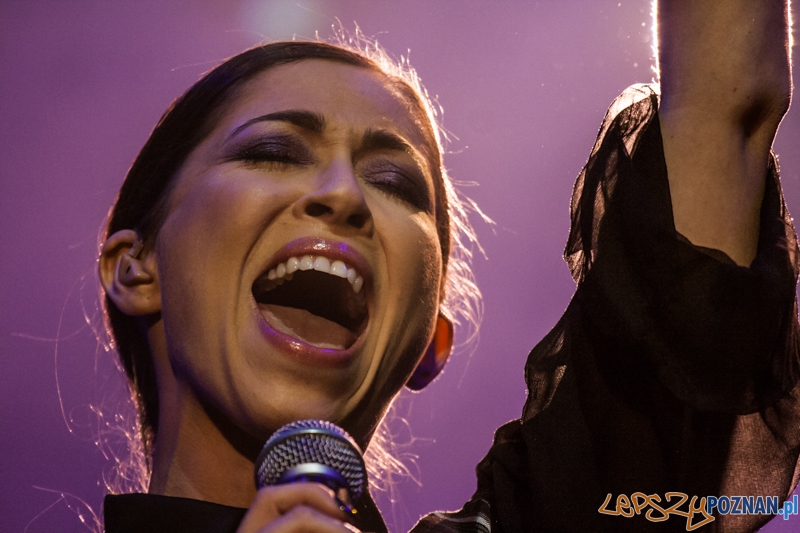 Tribute to Michael Jackson (10.01.2015) Sala Ziemi Foto: © LepszyPOZNAN.pl / Karolina Kiraga Tribute to Michael Jackson (10.01.2015) Sala Ziemi Foto: © LepszyPOZNAN.pl / Karolina Kiraga