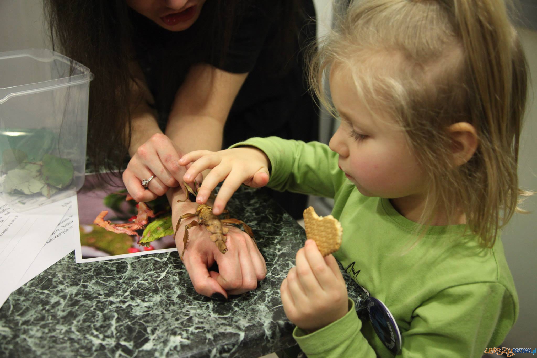 Noc Biologów 2014  Foto: Józef Musiał