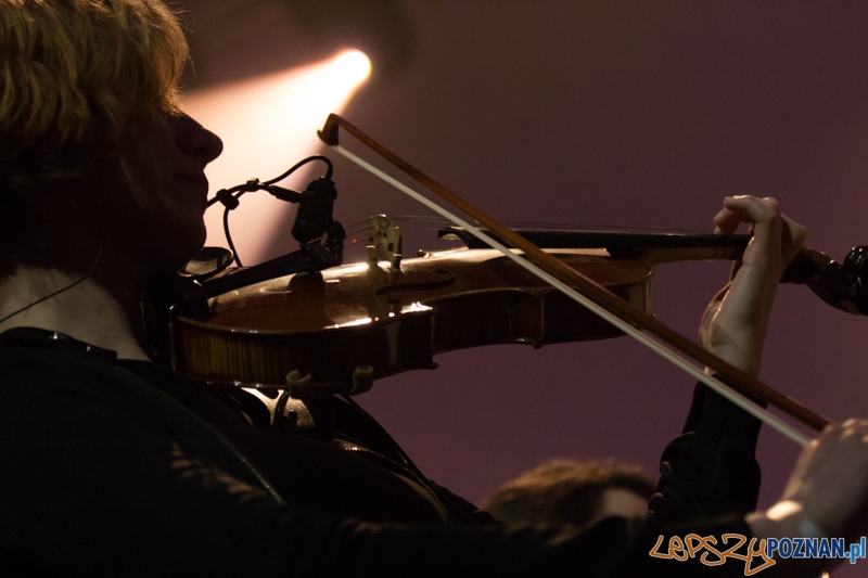 Tribute to Michael Jackson (10.01.2015) Sala Ziemi Foto: © LepszyPOZNAN.pl / Karolina Kiraga Tribute to Michael Jackson (10.01.2015) Sala Ziemi Foto: © LepszyPOZNAN.pl / Karolina Kiraga