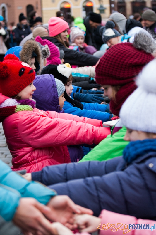 Golden retrievery podczas XXIII finału WOŚP Foto: © LepszyPOZNAN.pl / Karolina Kiraga Golden retrievery podczas XXIII finału WOŚP Foto: © LepszyPOZNAN.pl / Karolina Kiraga