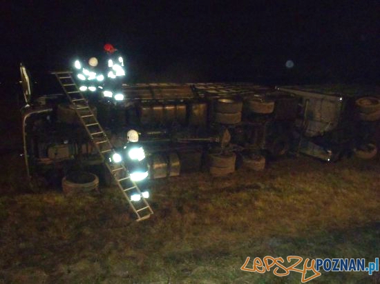 Świnie na A2! Foto: KP PSP Nowy Tomyśl Świnie na A2! Foto: KP PSP Nowy Tomyśl