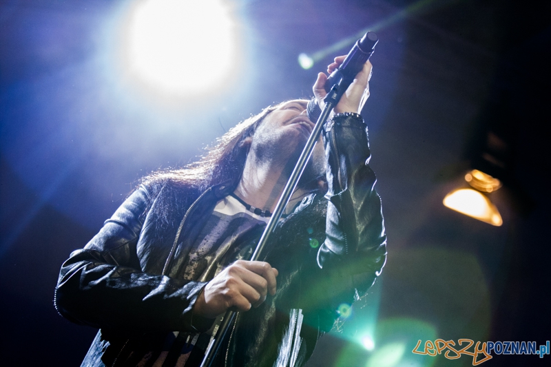 Tribute to Michael Jackson (10.01.2015) Sala Ziemi Foto: © LepszyPOZNAN.pl / Karolina Kiraga Tribute to Michael Jackson (10.01.2015) Sala Ziemi Foto: © LepszyPOZNAN.pl / Karolina Kiraga