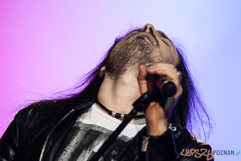 Tribute to Michael Jackson (10.01.2015) Sala Ziemi Foto: © LepszyPOZNAN.pl / Karolina Kiraga Tribute to Michael Jackson (10.01.2015) Sala Ziemi Foto: © LepszyPOZNAN.pl / Karolina Kiraga