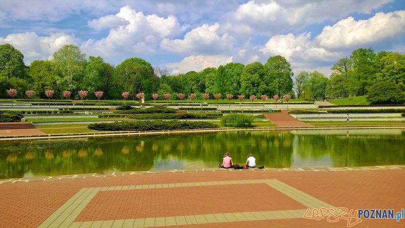 Rosarium na Cytadeli  Foto: Tomasz Dworek