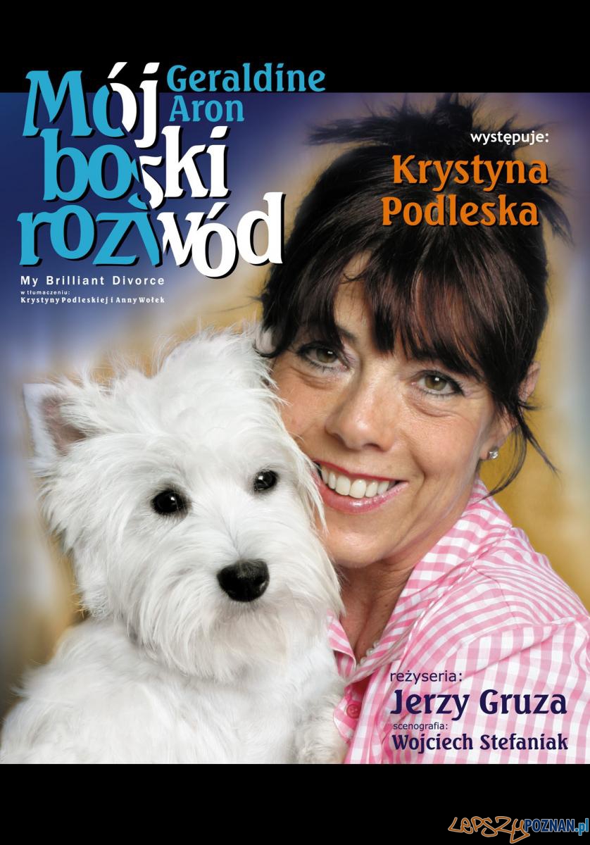 "Mój Boski Rozwód" - Krystyna Podleska  Foto: 