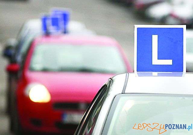 Nauka jazdy Foto: CC Nauka jazdy Foto: CC