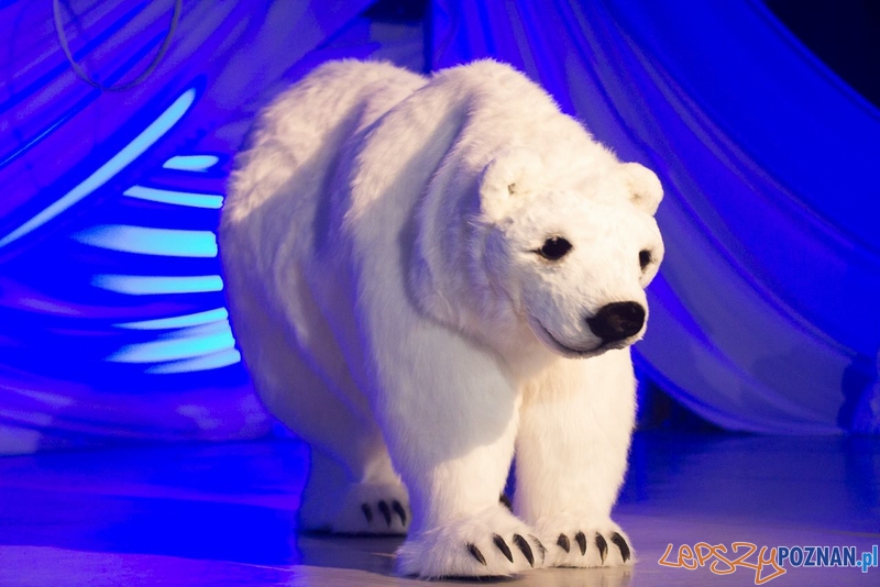 Zimowe Impresje (8) Foto: Łukasz Babst Zimowe Impresje (8) Foto: Łukasz Babst