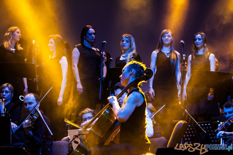 Tribute to Michael Jackson (10.01.2015) Sala Ziemi Foto: © LepszyPOZNAN.pl / Karolina Kiraga Tribute to Michael Jackson (10.01.2015) Sala Ziemi Foto: © LepszyPOZNAN.pl / Karolina Kiraga