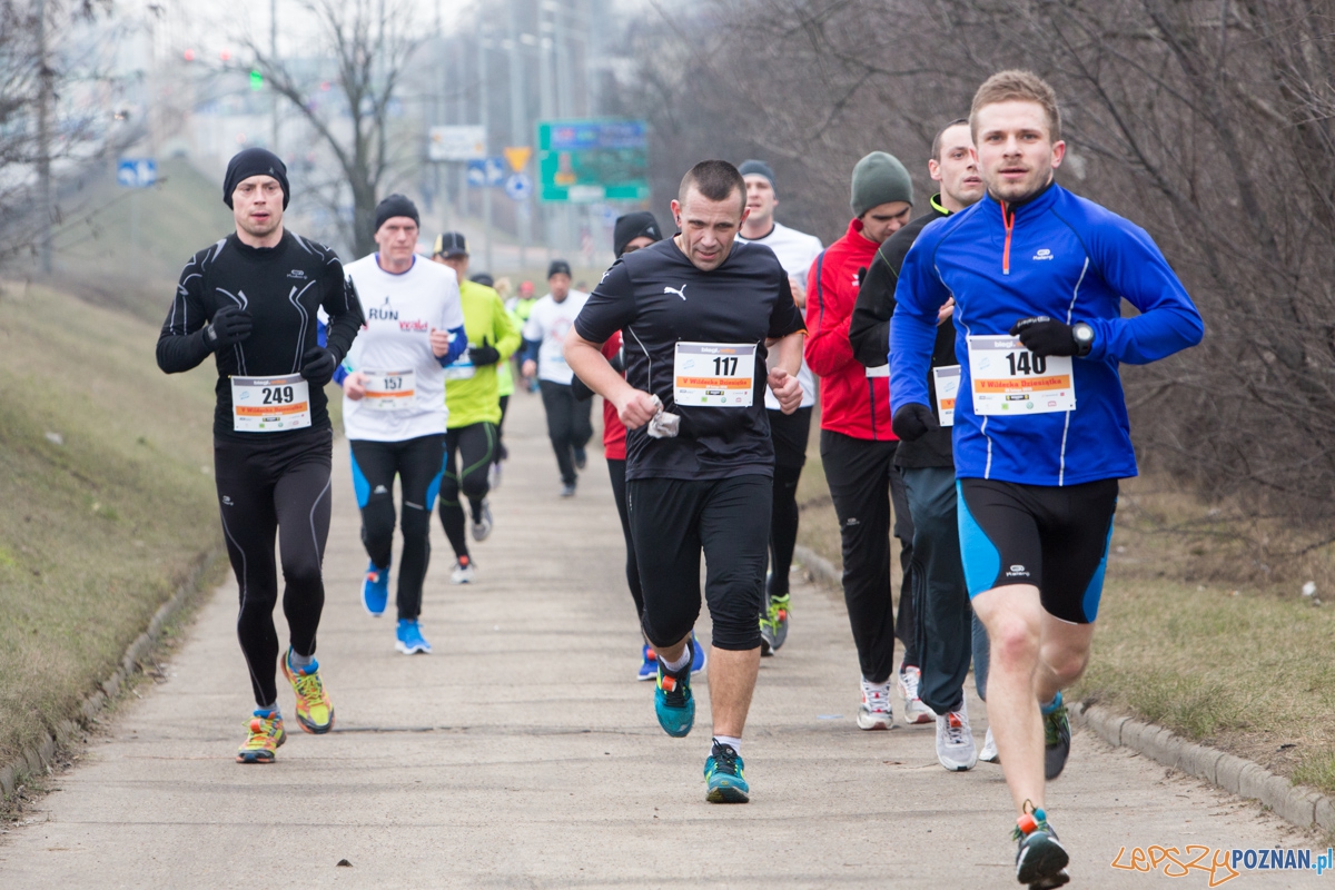 V Wildecka Dziesiątka Foto: lepszyPOZNAN.pl / Piotr Rychter V Wildecka Dziesiątka Foto: lepszyPOZNAN.pl / Piotr Rychter
