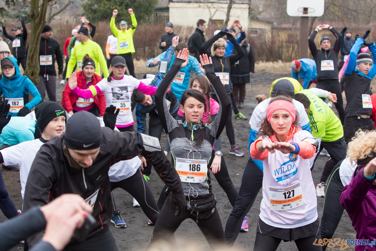 V Wildecka Dziesiątka Foto: lepszyPOZNAN.pl / Piotr Rychter V Wildecka Dziesiątka Foto: lepszyPOZNAN.pl / Piotr Rychter