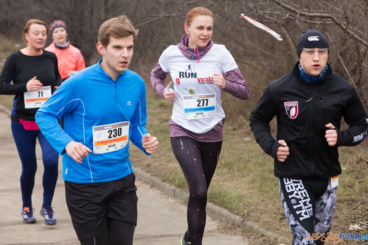 V Wildecka Dziesiątka Foto: lepszyPOZNAN.pl / Piotr Rychter V Wildecka Dziesiątka Foto: lepszyPOZNAN.pl / Piotr Rychter