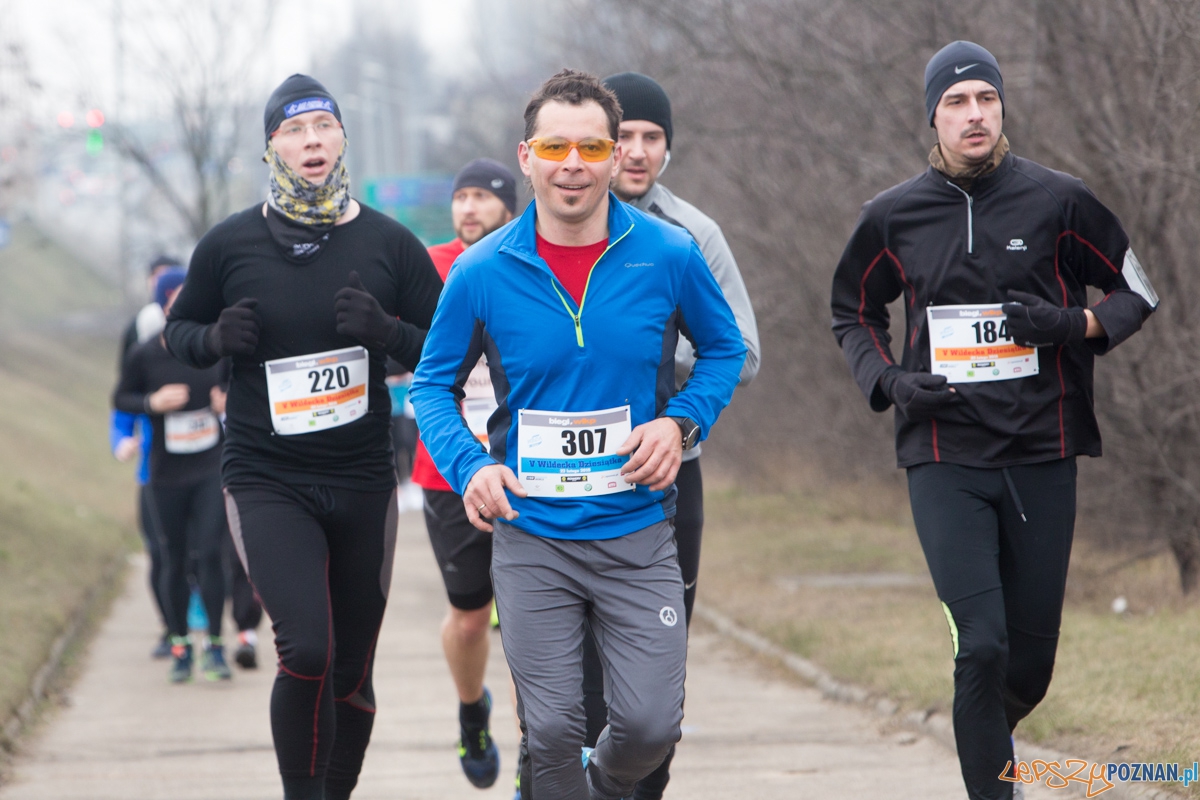 V Wildecka Dziesiątka Foto: lepszyPOZNAN.pl / Piotr Rychter V Wildecka Dziesiątka Foto: lepszyPOZNAN.pl / Piotr Rychter