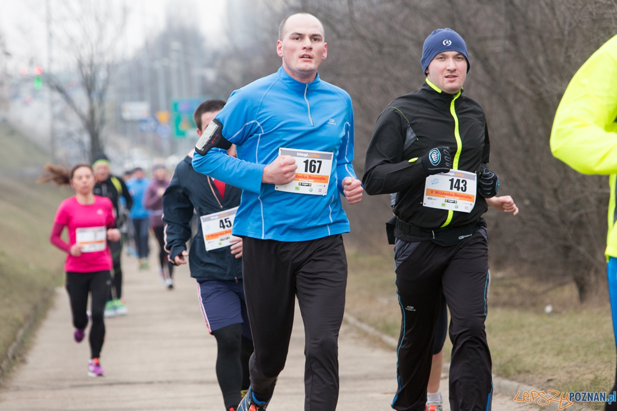 V Wildecka Dziesiątka Foto: lepszyPOZNAN.pl / Piotr Rychter V Wildecka Dziesiątka Foto: lepszyPOZNAN.pl / Piotr Rychter