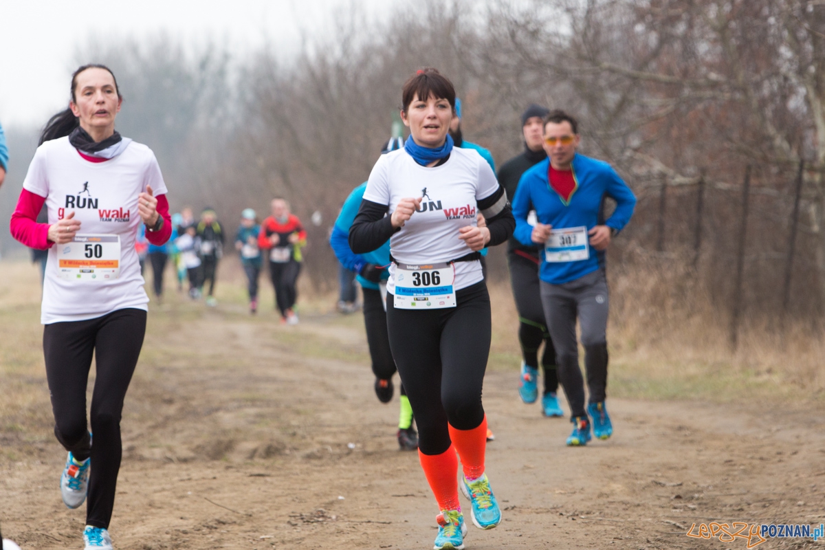 V Wildecka Dziesiątka Foto: lepszyPOZNAN.pl / Piotr Rychter V Wildecka Dziesiątka Foto: lepszyPOZNAN.pl / Piotr Rychter