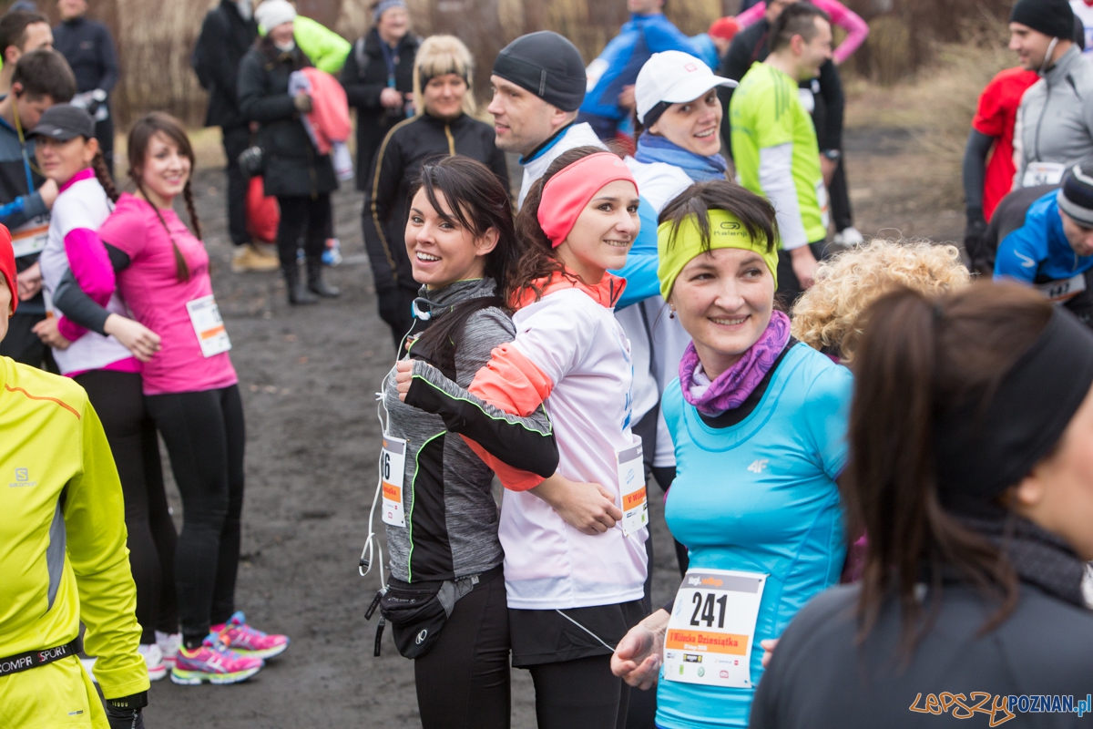 V Wildecka Dziesiątka Foto: lepszyPOZNAN.pl / Piotr Rychter V Wildecka Dziesiątka Foto: lepszyPOZNAN.pl / Piotr Rychter