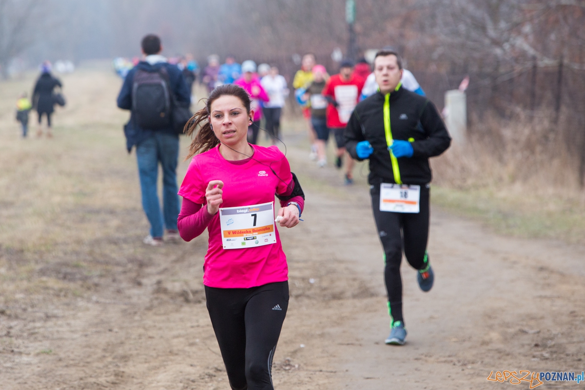 V Wildecka Dziesiątka Foto: lepszyPOZNAN.pl / Piotr Rychter V Wildecka Dziesiątka Foto: lepszyPOZNAN.pl / Piotr Rychter